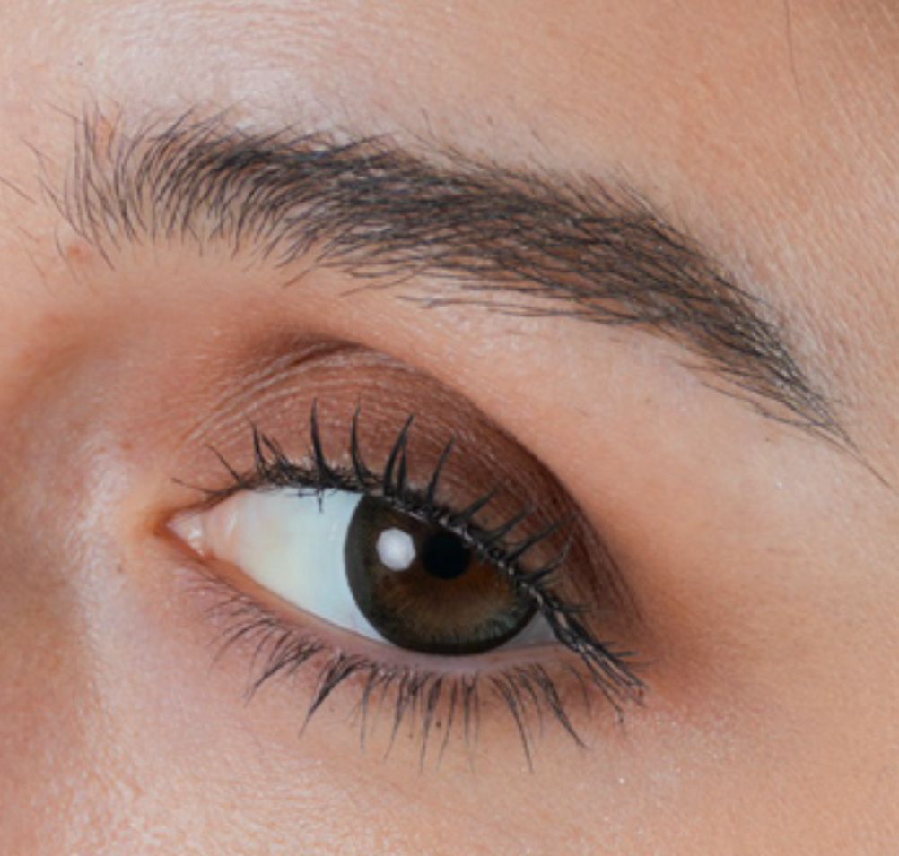 Black Doll – Yearly Contact Lenses (14.5mm)