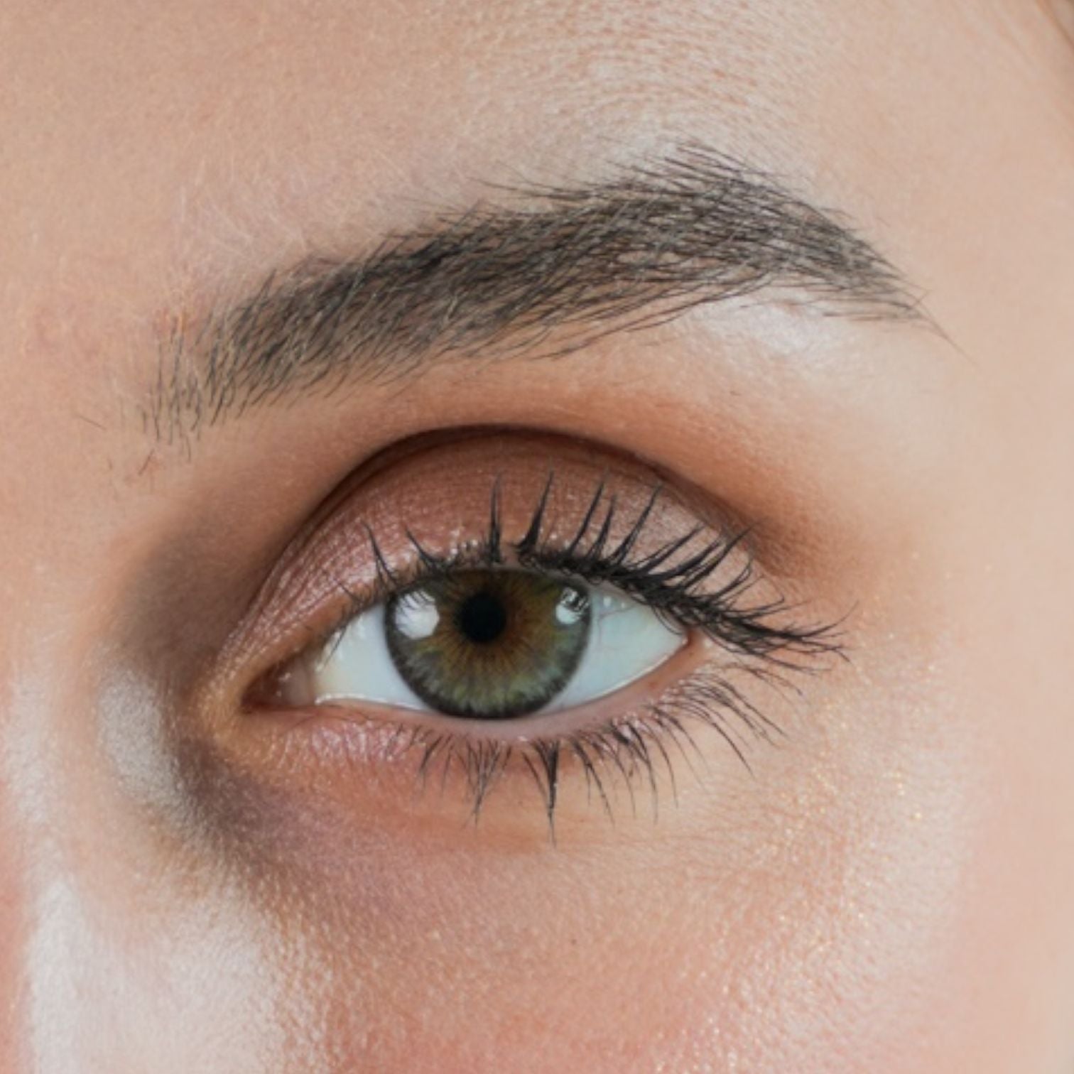 Private jet – Yearly Contact Lenses (14.2mm)