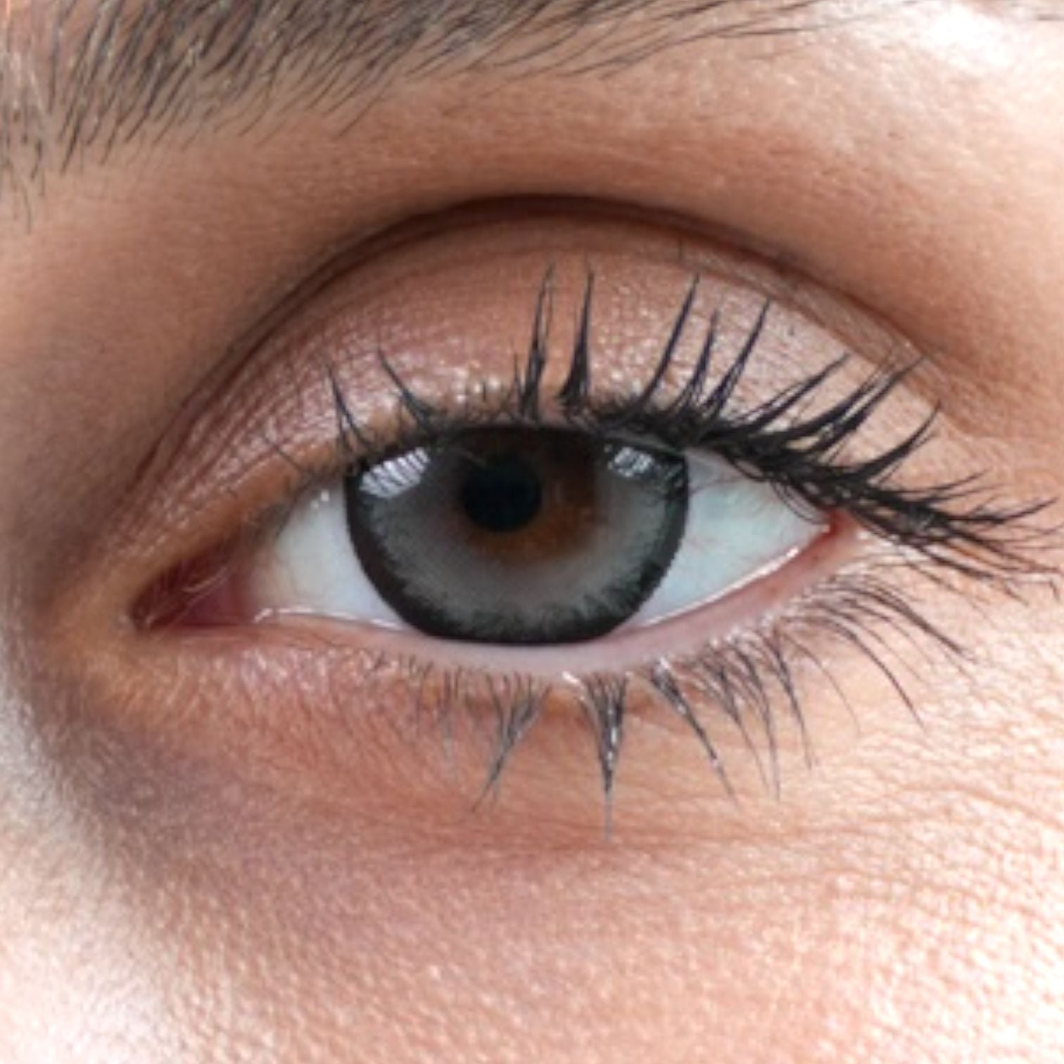 Candy Coat – Yearly Contact Lenses (14.5mm)