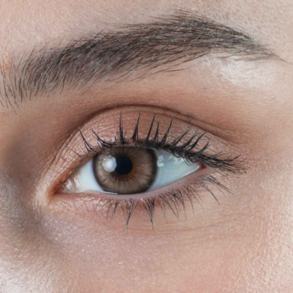 Private Call – Yearly Contact Lenses (14.2mm)