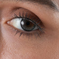 Sugar truffle -Yearly Contact Lenses (14.5mm)