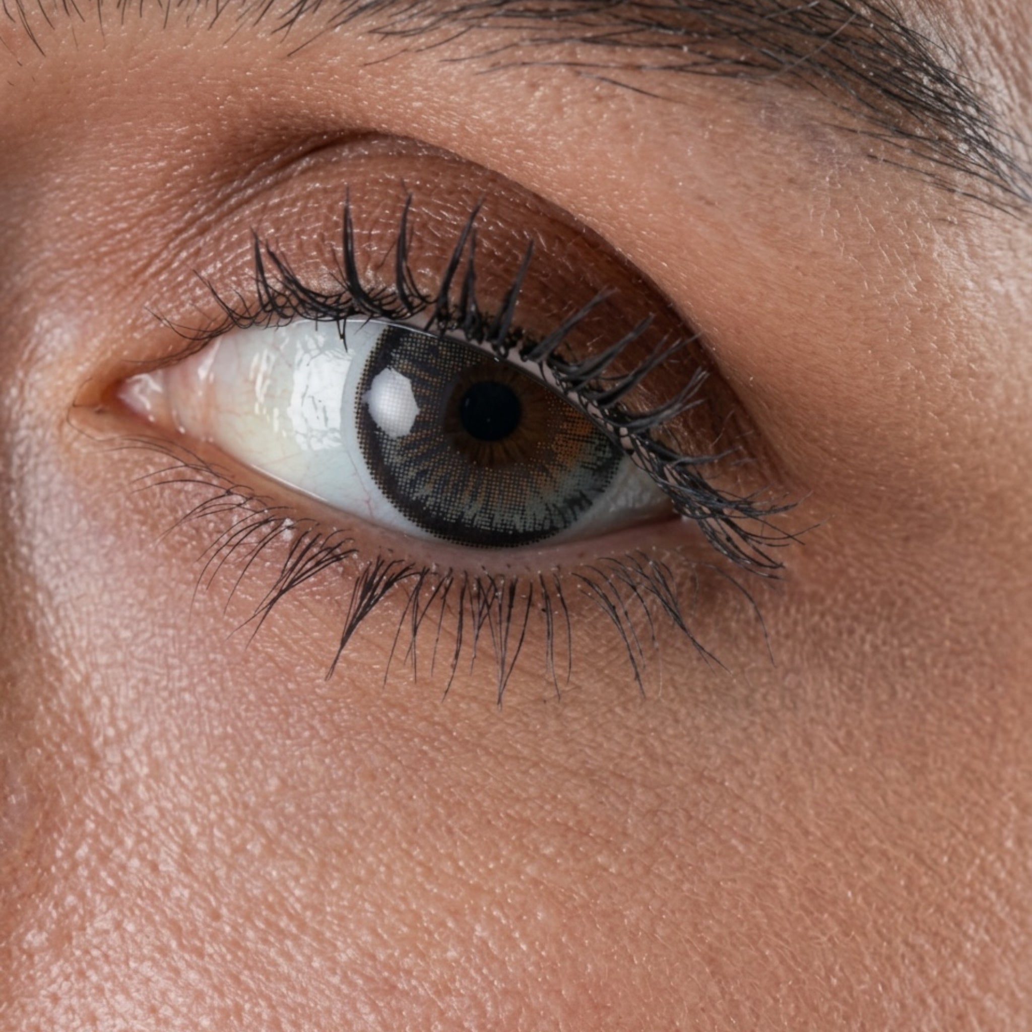 Sugar truffle -Yearly Contact Lenses (14.5mm)