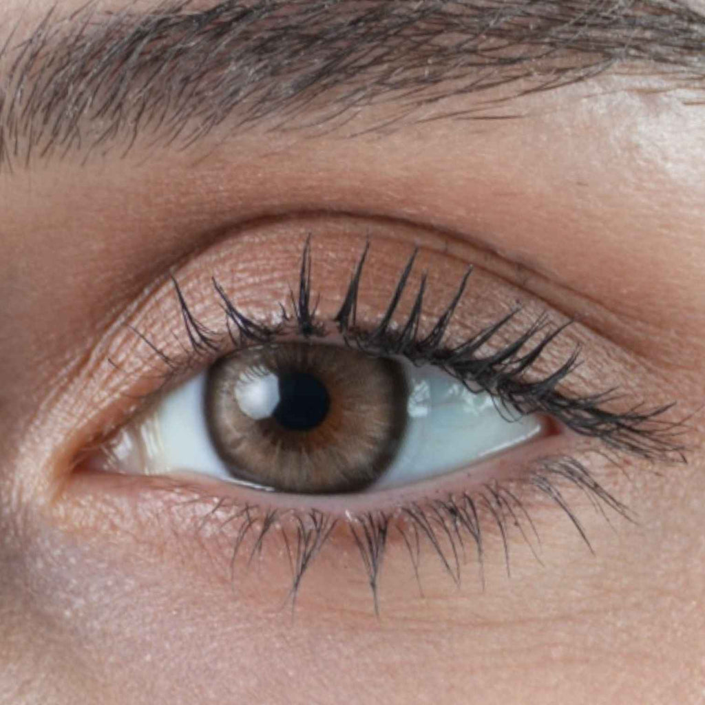 Private Call – Yearly Contact Lenses (14.2mm)