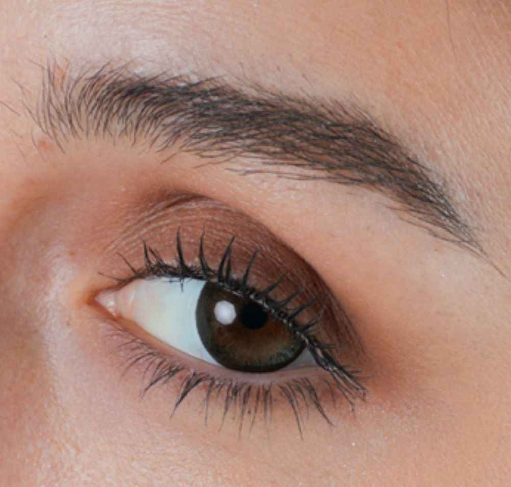 Black Doll – Yearly Contact Lenses (14.5mm)
